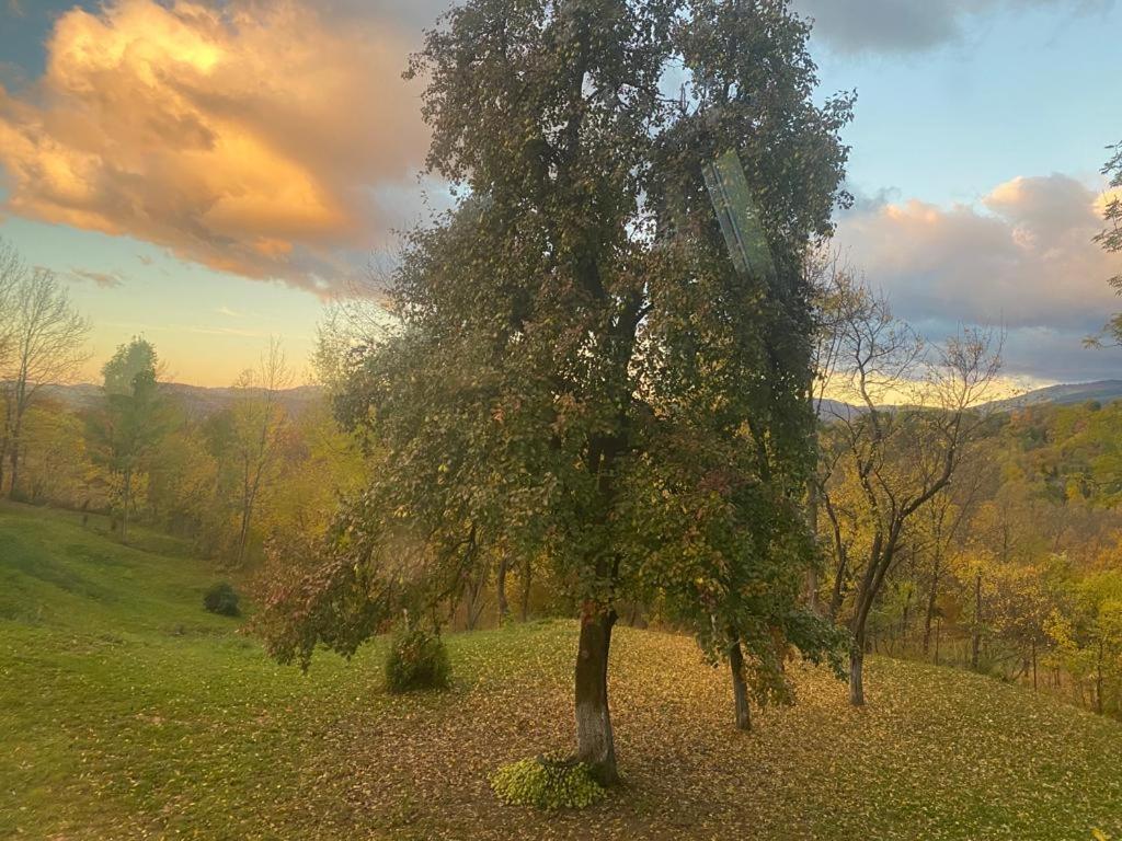 Villa Casutele Din Poienita Comarnic Esterno foto