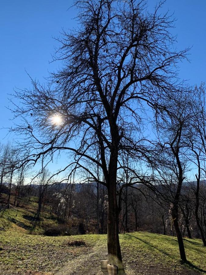 Villa Casutele Din Poienita Comarnic Esterno foto
