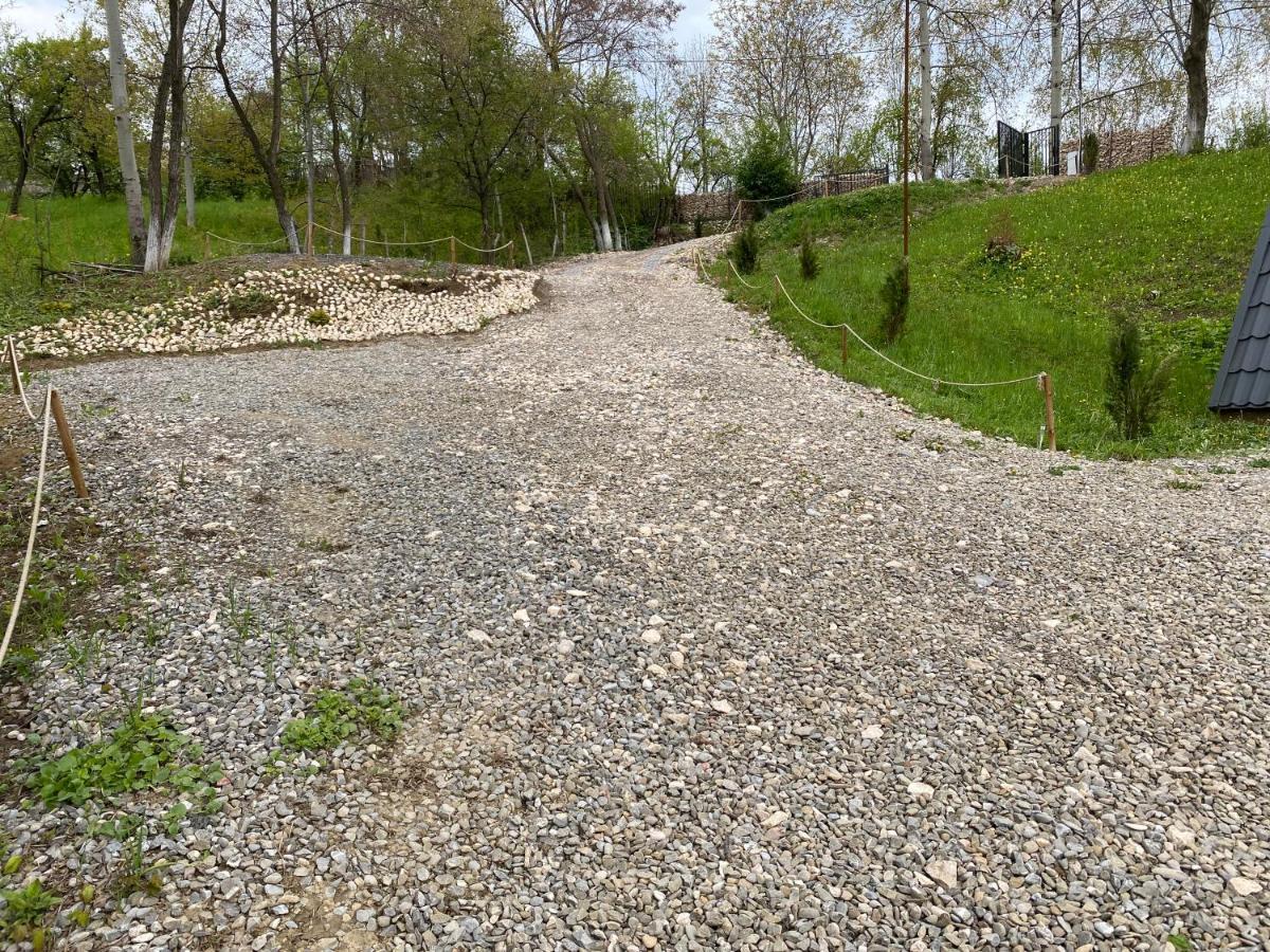 Villa Casutele Din Poienita Comarnic Esterno foto