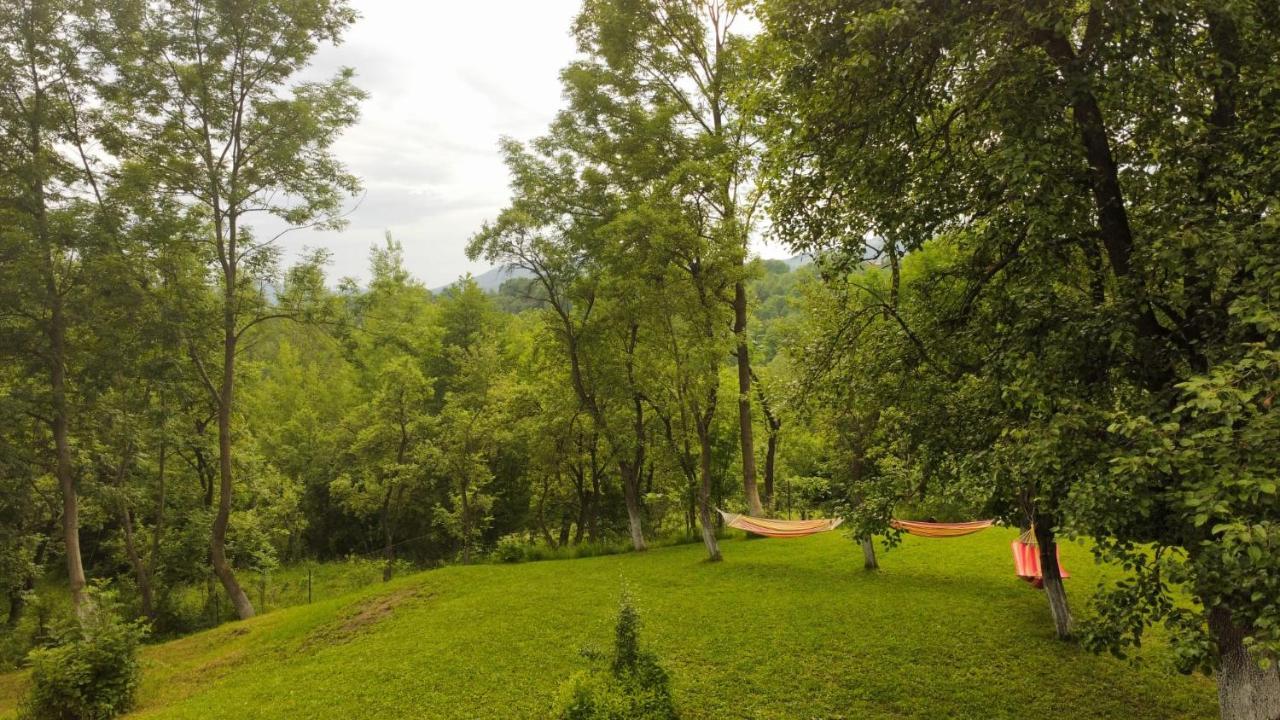 Villa Casutele Din Poienita Comarnic Esterno foto