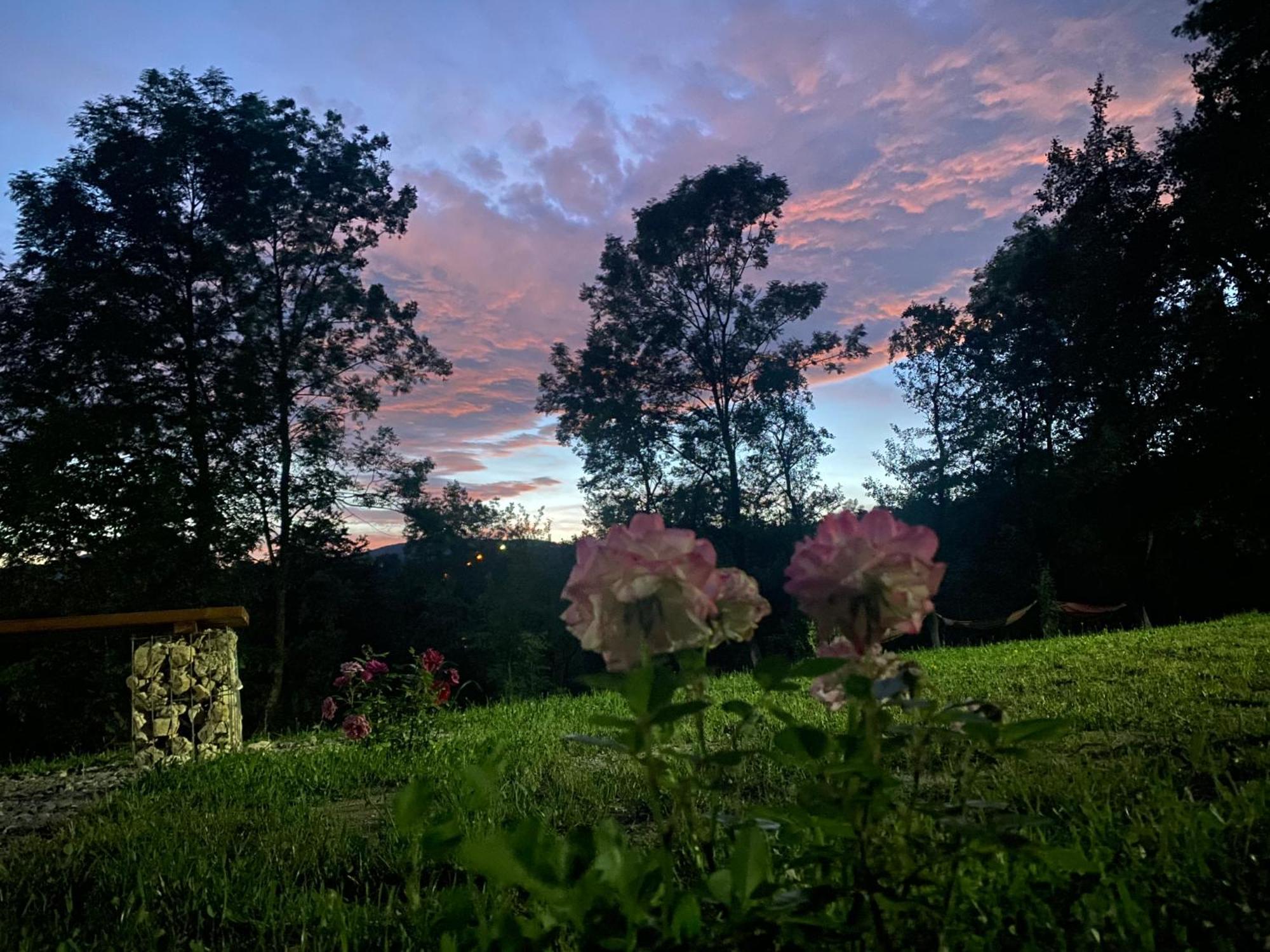 Villa Casutele Din Poienita Comarnic Esterno foto