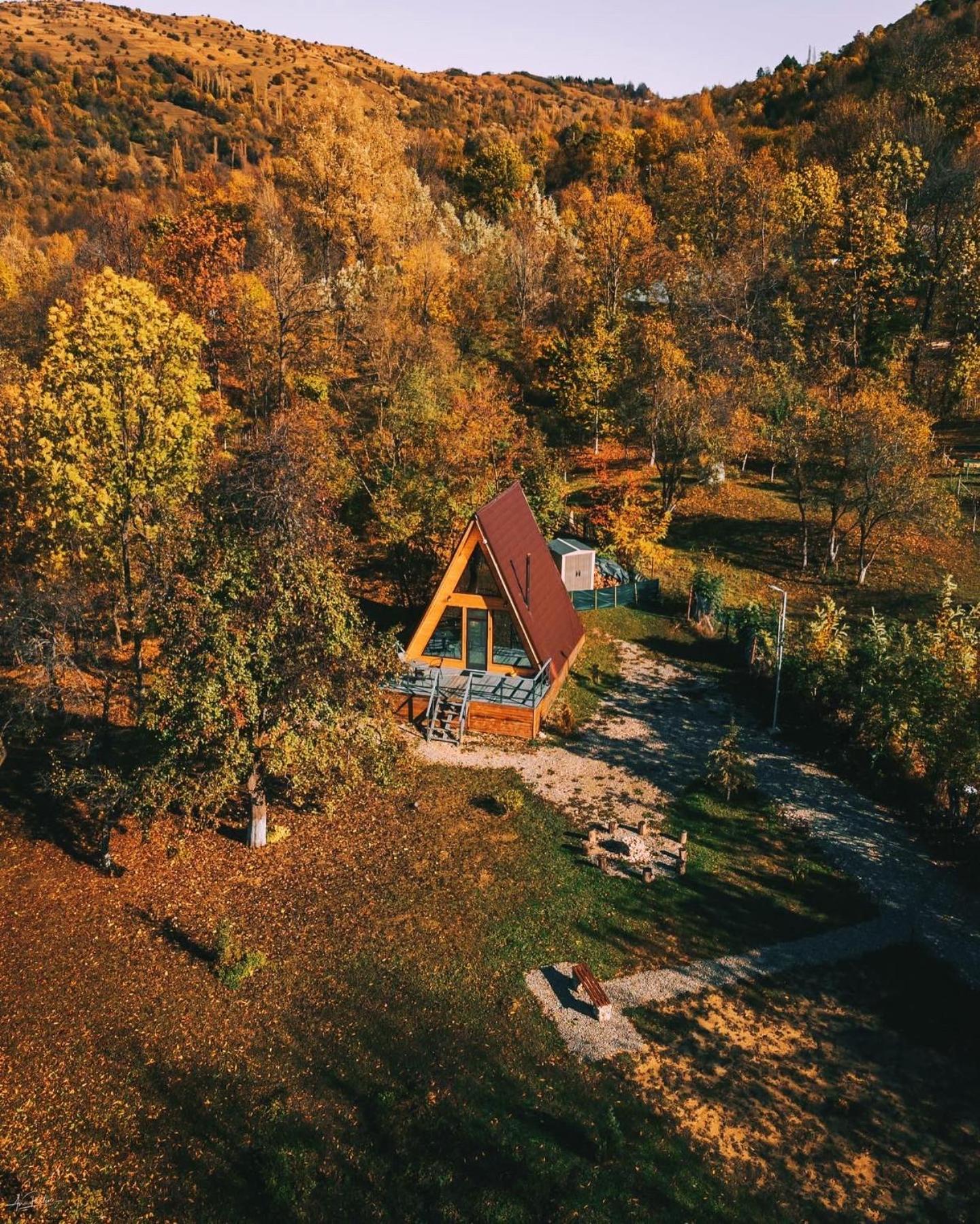 Villa Casutele Din Poienita Comarnic Esterno foto